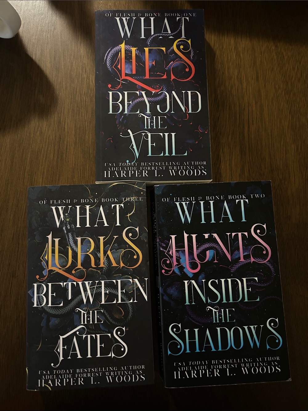 What Lies Beyond the Veil Paperback Book series